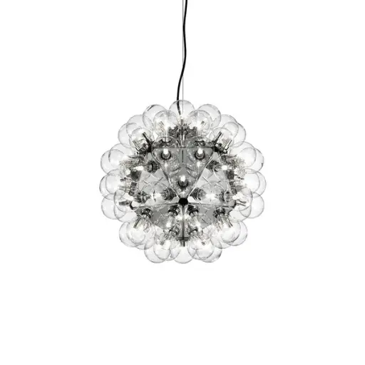 Taraxacum 88 Suspension 1